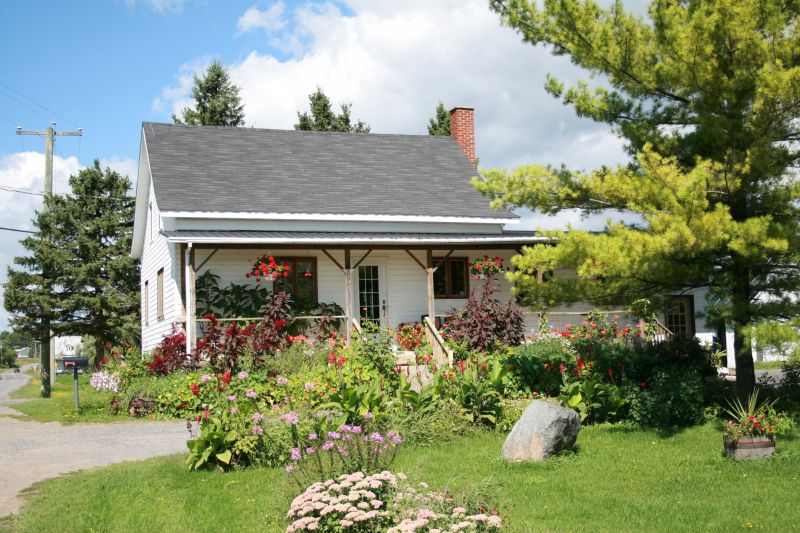 Front Yard Renovating