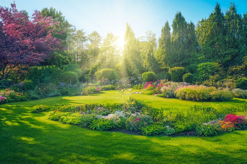 How Professional Landscaping Improves Curb Appeal
