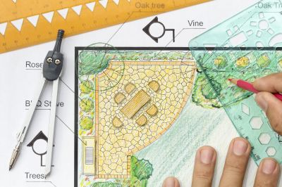 How Professional Landscaping Improves Curb Appeal